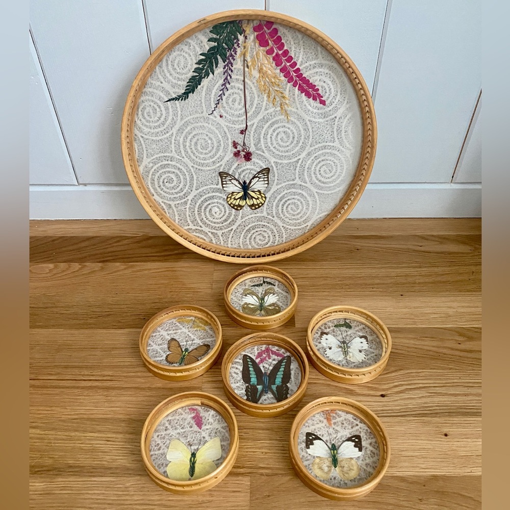 Vintage 1970s pressed botanical/butterfly tray and coaster set